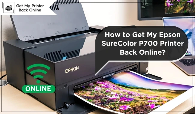 How to Get My Epson SureColor P700 Printer Back Online?